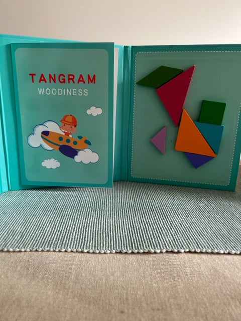Tangram Origami Magnetic Block Set