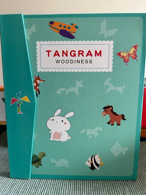 Tangram Origami Magnetic Block Set