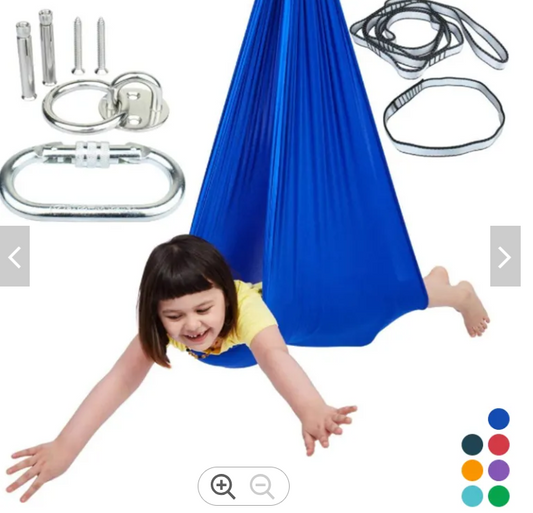 Sensory Swing