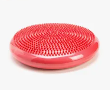 Wobble Cushion